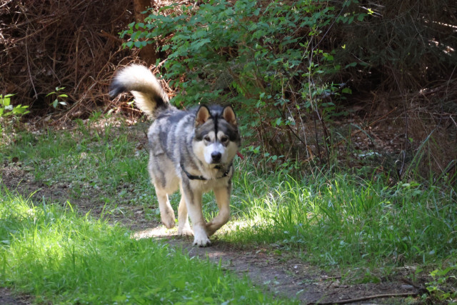 Canon EOS R50 6000x4000_000347.jpg